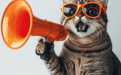 Por Que Buscar Atenção Não É Patologia